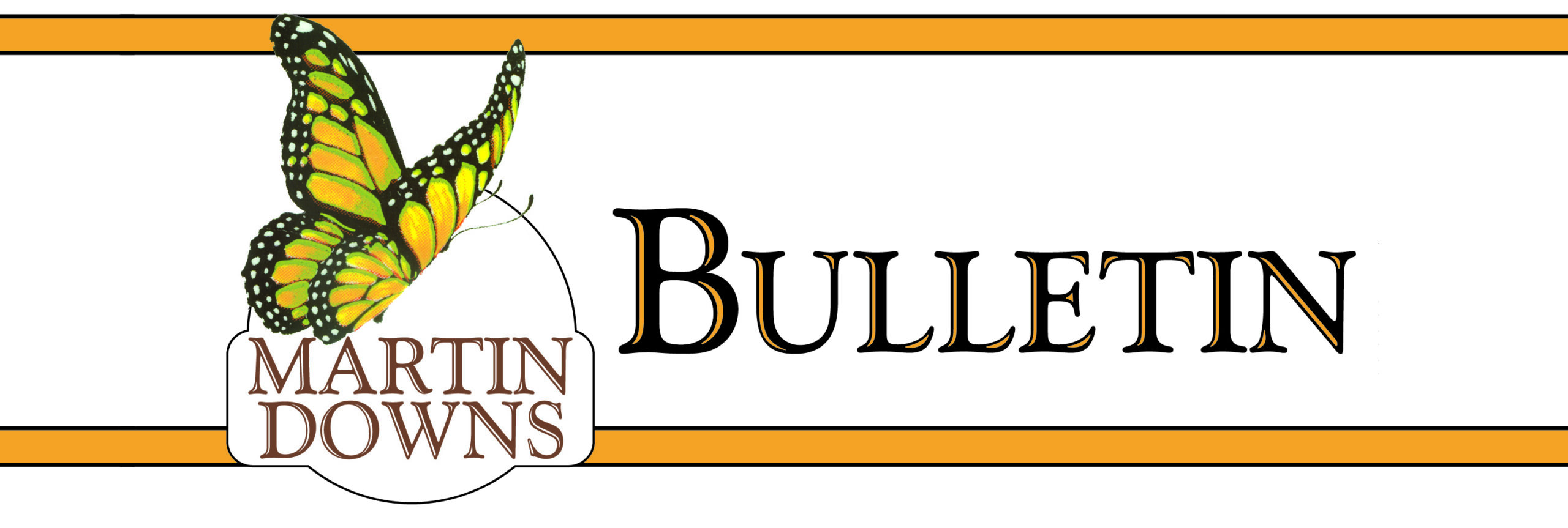 Martin Downs Bulletin